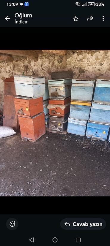 heyvan at: Arıçılıq üçün taxta arı yeşikləri və çərçivələr - Material: qalın — 4