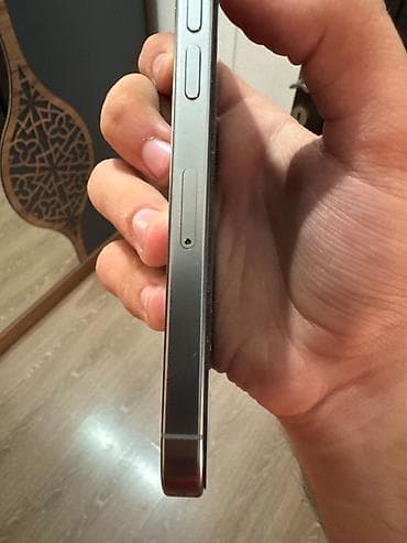 ayfon s: IPhone 16 Pro, 256 GB, Natural Titanium — 4