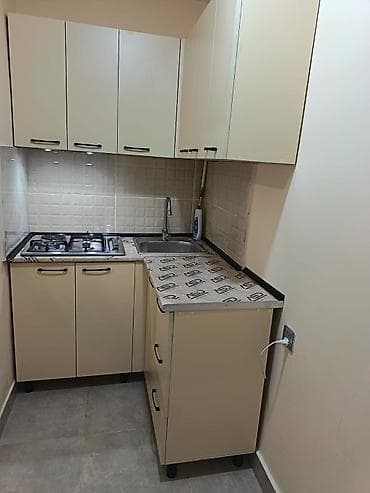 gencede satilan evler 2023: 2 otaqlı studiya tipli mənzil - Plan: dəhliz boyunca yerləşən — 4