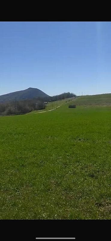 36 sot, Kənd təsərrüfatı, Mülkiyyətçi, Kupça (Çıxarış)