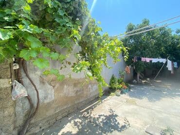 qonaq otagi ucun divar kagizlari: Divan, Kredit yoxdur — 19