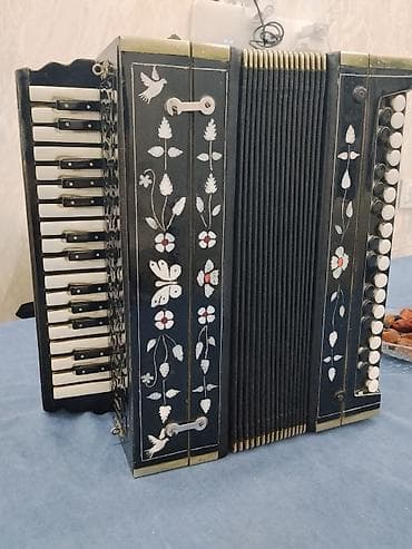 dynacord satilir: Qarmon, İşlənmiş — 1