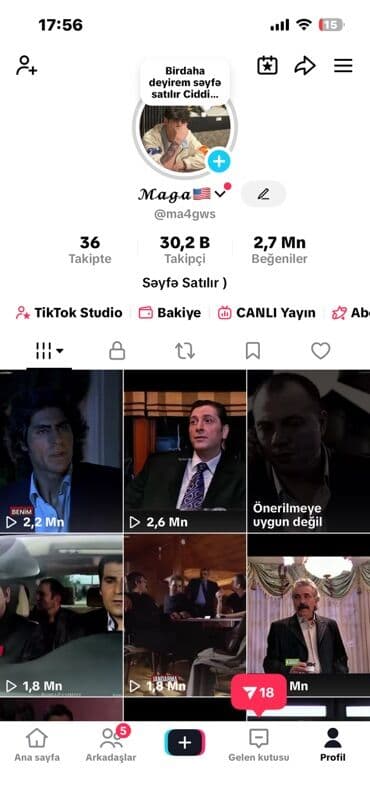 Gözəllik və estetika avadanlığı: Satılır: TikTok səhifəsi - Profil adı: “Maga” (@ma4gws) - Takipçi — 1