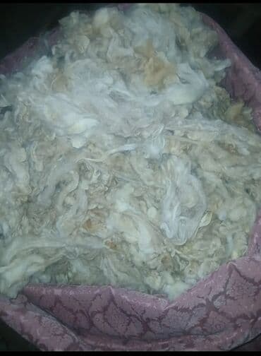 покрывало на диван: Təbbi Qoyun yunudu Kilosu 5.50-AZN dan 16 kilo var əldə İsdiyən əlaqə — 2