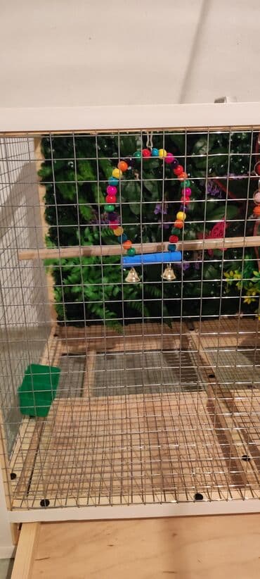 serebrist cucələr: Papuqay,dovşan,hamster,şinşila,bildirçin,cücə,xamyak,pişik,quş,tısbağa — 6