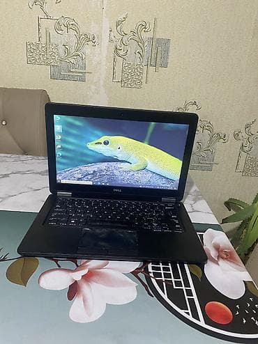 asus tuf dash: İşlənmiş Dell Latitude, 12.5 ", Intel Core i5, 128 GB, Ünvandan götürmə, Pulsuz çatdırılma, Ödənişli çatdırılma — 7