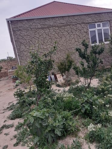 100 kv. m, 2 otaqlı, Qaz, İşıq, Su