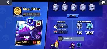 kurtkalar 2020: Brawl Stars hesabı - Kupa yolu: 35 213 - Prestij: 2 - Toplanan — 5