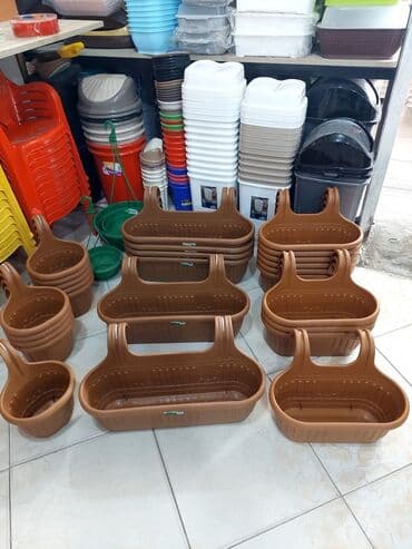 Digər bitkilər: Dibçək. Müxtəlif ölçü və modellər mövcuddur. Fərqli qiymətlərdədir — 9