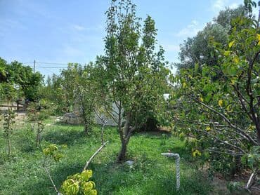 satılık evler: Zeynalabdin Tağıyev, 3 otaqlı, Köhnə tikili, 90 kv. m — 10