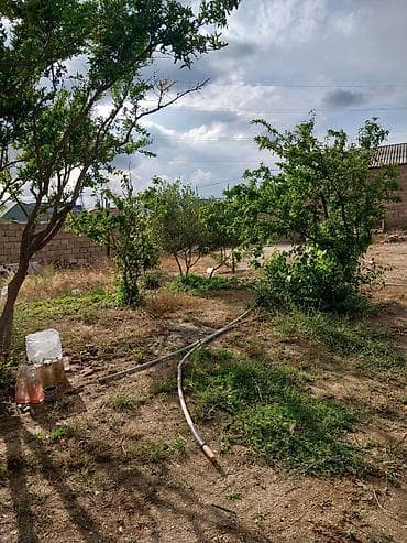 Гаражи: Для сельского хозяйства — 9