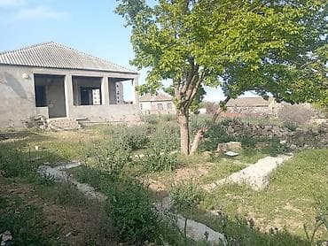 18 sot, Mülkiyyətçi, Kupça (Çıxarış)