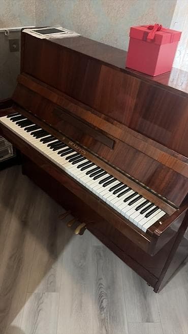 Piano, Belarus, Akustik