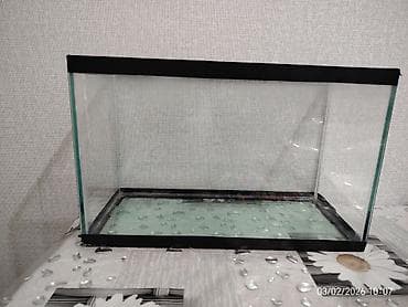 Pişiklər: Akvaryum dəsti - Şüşə akvaryum: düzbucaqlı forma, yuxarı və aşağı — 1