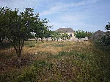 Otaqlar: 6 sot, Makler, Kupça (Çıxarış) — 2