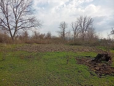 torpax: Tikinti — 10