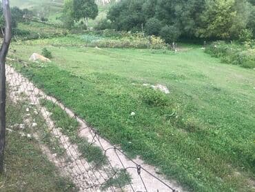 memar ecemi kiraye ev: 5 sot, Tikinti, Maklerlər narahat etməsin, Kupça (Çıxarış) — 8