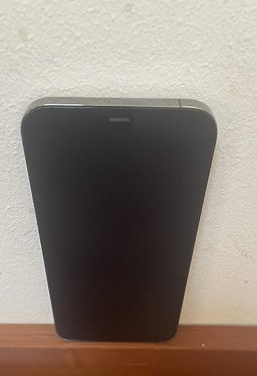 bərdə telefon: IPhone 12 Pro Max, 256 GB, Graphite — 1