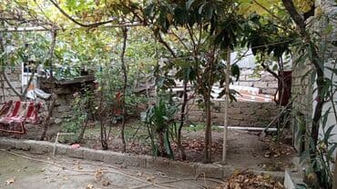 maştağada: Maştağada heyet evi satılır. 131 nömreli avtobusun axrıncı — 10