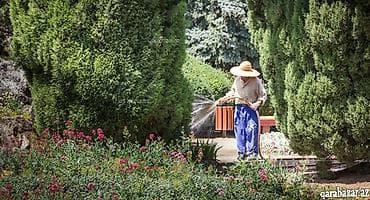 • Yaş: 45 • Ailə vəziyyəti: Evli (Ailəmlə birlikdə qalmaq üçün iş