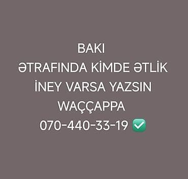 inek yemi: Xidmət: Bakı və ətraf ərazilərdə ətli inək axtarışı Təsvir: - Məqsəd — 1