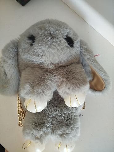 silver chinchilla: Şarm — 1