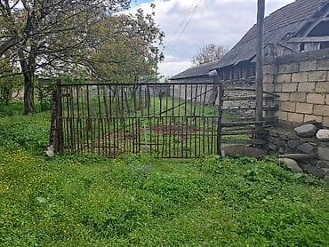 19 sot, Tikinti, Mülkiyyətçi, Kupça (Çıxarış)