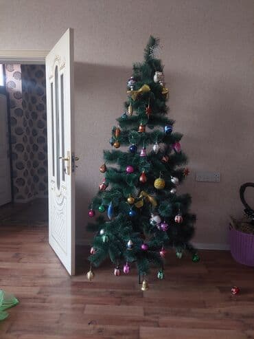 qarlı şam və küknar ağacları: Yeni il ağacları — 2