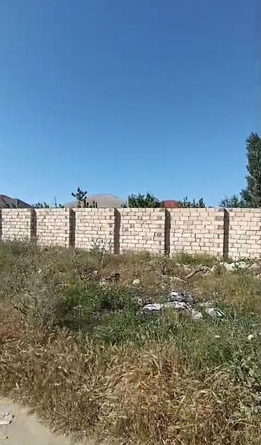 torpaqlar: 6 sot, Tikinti, Kupça (Çıxarış) — 4
