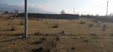 samuxda torpaq satilir: 6 sot, Maklerlər narahat etməsin, Kupça (Çıxarış) — 1