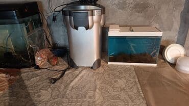 qara baş quşlar: - Böyük ölçülü vitrin tipli akvaryum: geniş ön şüşə, dekorativ ağ — 3