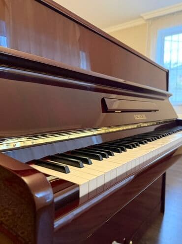 Akkordeonlar: Piano, Akustik, Pulsuz çatdırılma — 2