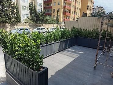 8 mart gullar: Taxtalar ile ev, bağ, restoran, ofis, otel ve s. məkanlarınızın müasir — 3