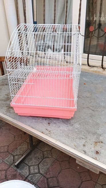 Digər Avtomobillər: Quş qəfəsi – geniş ölçülü, ağ metal barmaqlıqlar və çəhrayı/plastik — 2