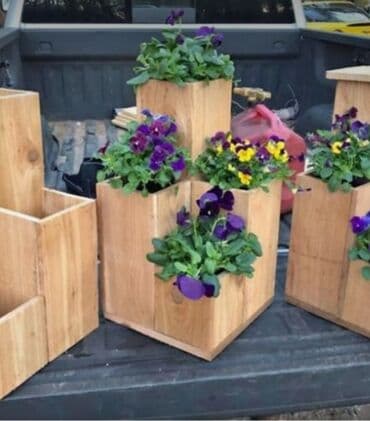 suni bitki: Dibçək və dibçək atlıqlarının sifarişlə hazırlanması Qiymət minimum — 3