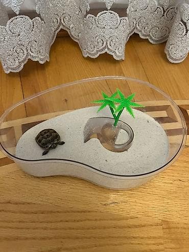 Животные: Qurbağa/ilanbalığı üçün mini terrarium – akvarium tipli plastik — 1