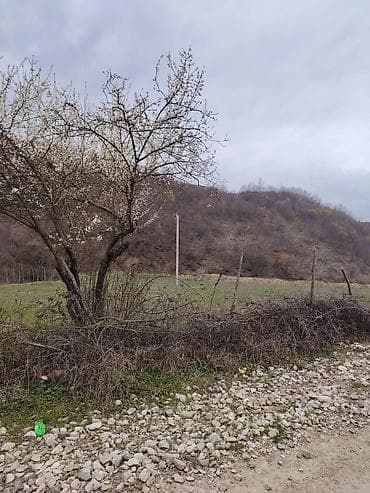 ipotekada olan menzillerin satisi: 14 соток, Для строительства, Возможен обмен, Бялядия (муниципалитет) — 6