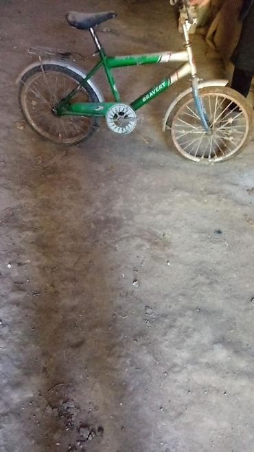 İki təkərli Uşaq velosipedi 20", sürətlərin sayı: 1