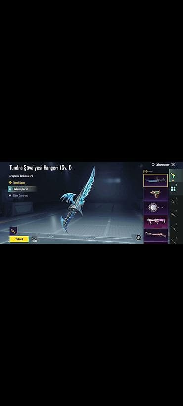 Digər biznes avadanlığı: 73 lv 43 dəstansi 9 yüksəldə bilir silah 11 dəne materyal parcaciqi — 2