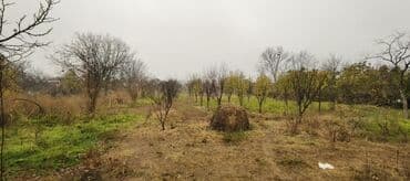 купить новостройку в баку: 30 соток, Для сельского хозяйства, Собственник, Купчая — 1