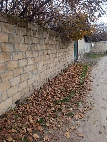 сад: 12 соток, Для строительства, Собственник, Купчая — 6