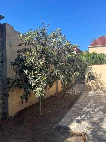 qaracuxurda ev: 120 kv. m, 4 otaqlı — 10