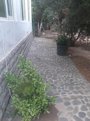 garden: Bakı, 90 kv. m, 2 otaqlı, Hovuzlu, Su — 9