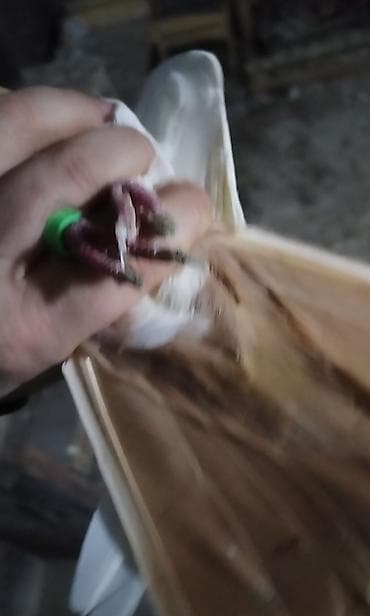 qus satisi: Qirmizi boyun kekiler erkey kekiliszder mayadi hazir cut bala veren — 2