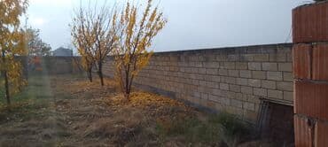 sahə: 10 sot, Tikinti, Mülkiyyətçi — 5