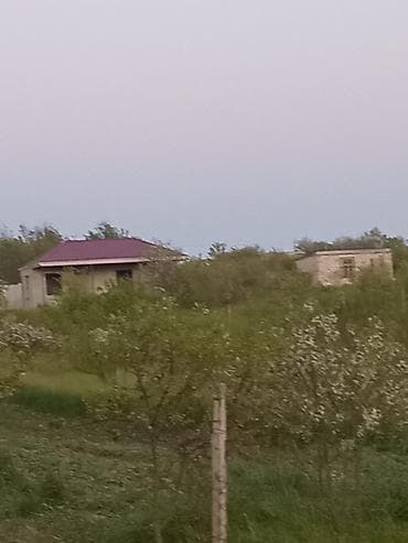 kənd əhmədli: 6 sot, Biznes üçün, Mülkiyyətçi, Kupça (Çıxarış) — 6