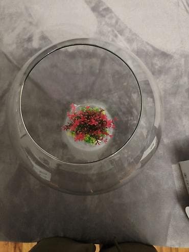 su çəkən nasos: Yumru akvarium, Boş, 20 l, Ünvandan götürmə — 2