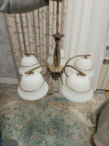 Bitkilər üçün dibçəklər: Çılçıraq — 3