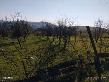 vasitəçisiz iki otaqlı mənzil kirayələmək: Kənd təsərrüfatı — 4