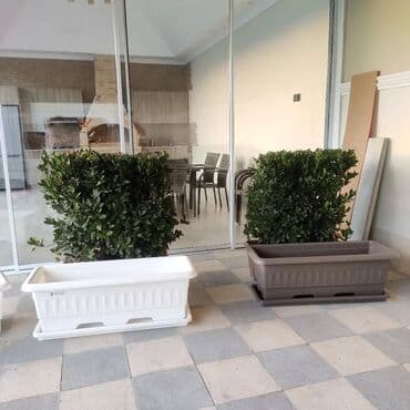 Dibçək Uzunluq 50 eni 19 Uzunluq 55 eni 23 Uzunluq 70 eni 29